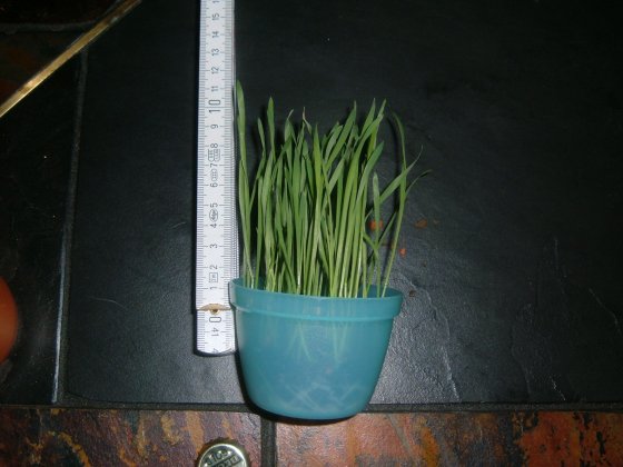 Dscf1304.jpg