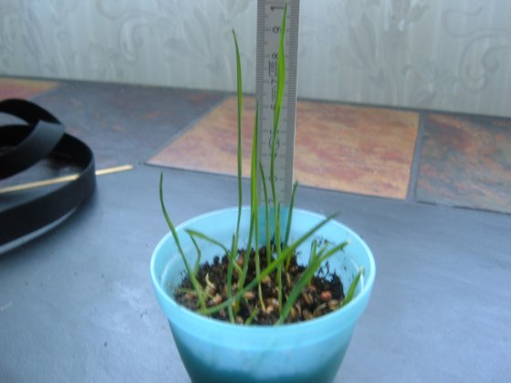 Dscf1318.jpg