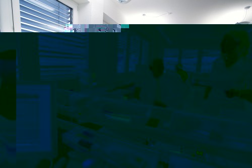 LUMITRONIX Support und Vertrieb: I.d.R. besetzt von Paul Sparenborg, Tobias Haid, Rudolf Kränzler, Margit Kästle und Olaf Müller