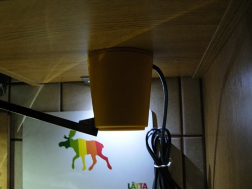 Hier über der Spühle neben dem Kühlschrank