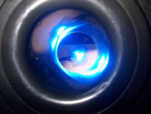 stolz auf dem Thron.JPG