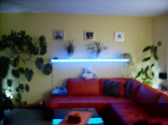 DSCI0019 regal.JPG (48.53 KiB) 13870 mal betrachtet DSCI0019 regal.JPG