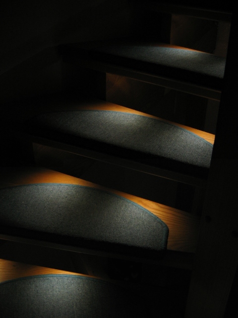IMG_0027_400KB.jpg
