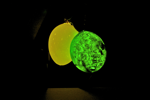 eier.jpg