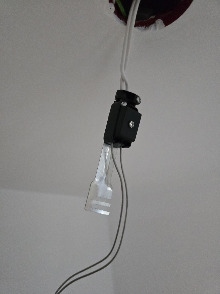 20250125_155618.jpg